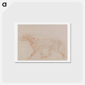 アートポストカード-Tiger Body, Lateral View
 - ジョージ スタッブス Postcard.