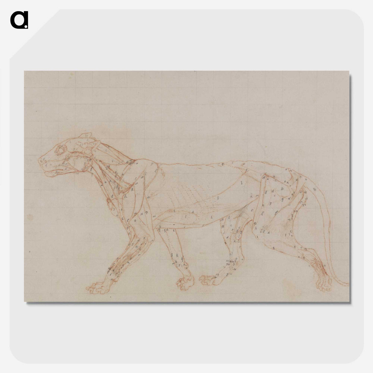 2-67_George-Stubbs_picture-crop