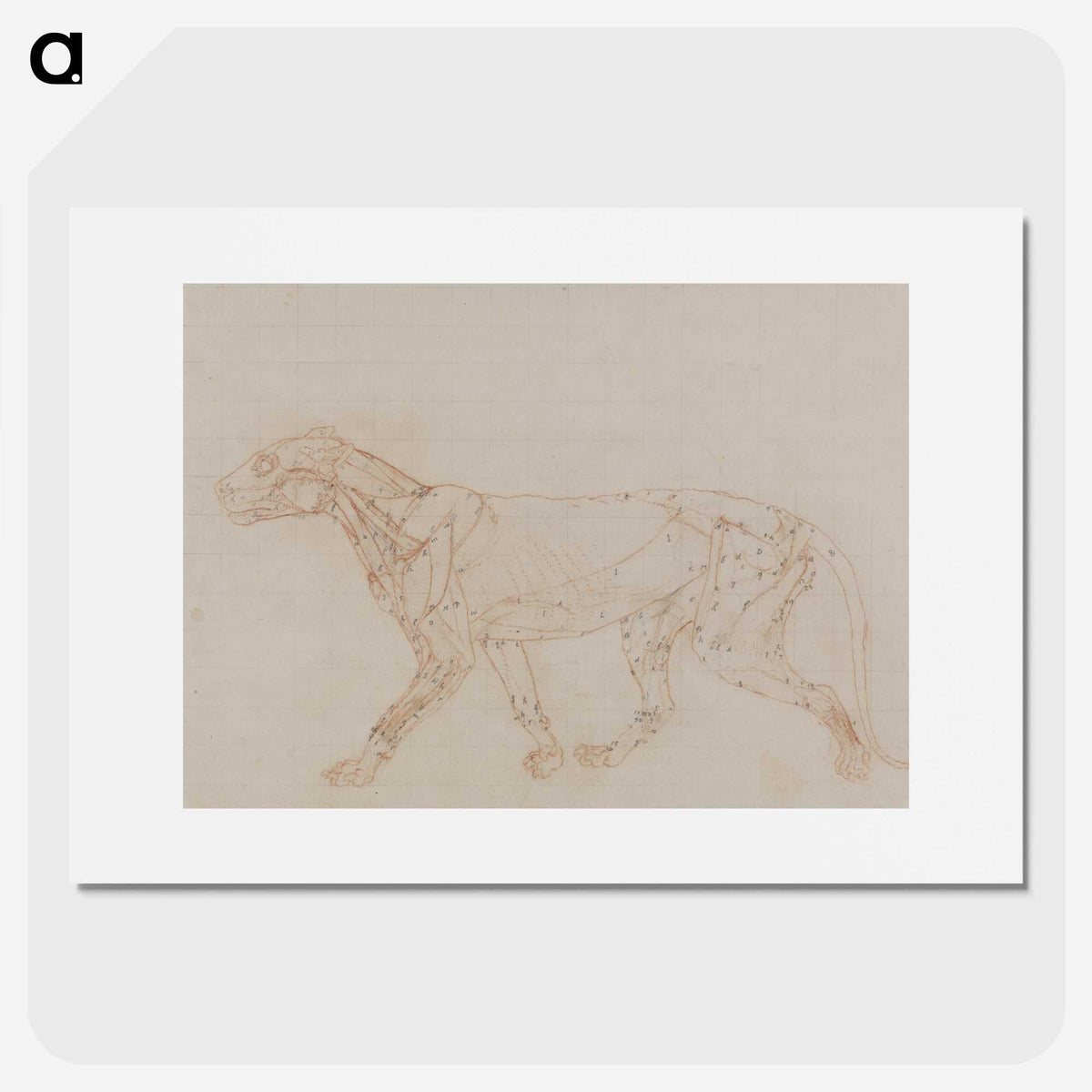 2-67_George-Stubbs_picture