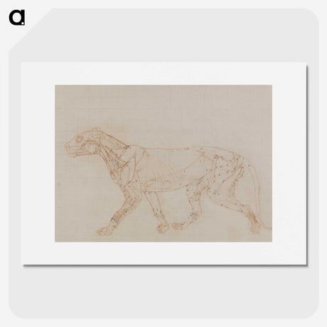2-67_George-Stubbs_picture