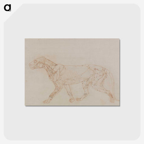 2-67_George-Stubbs_postcard