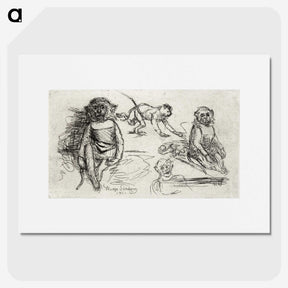 2-67_Hugo-Simberg_picture