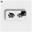 2-67_Ichtyologie-ou-Histoire-naturelle_phone