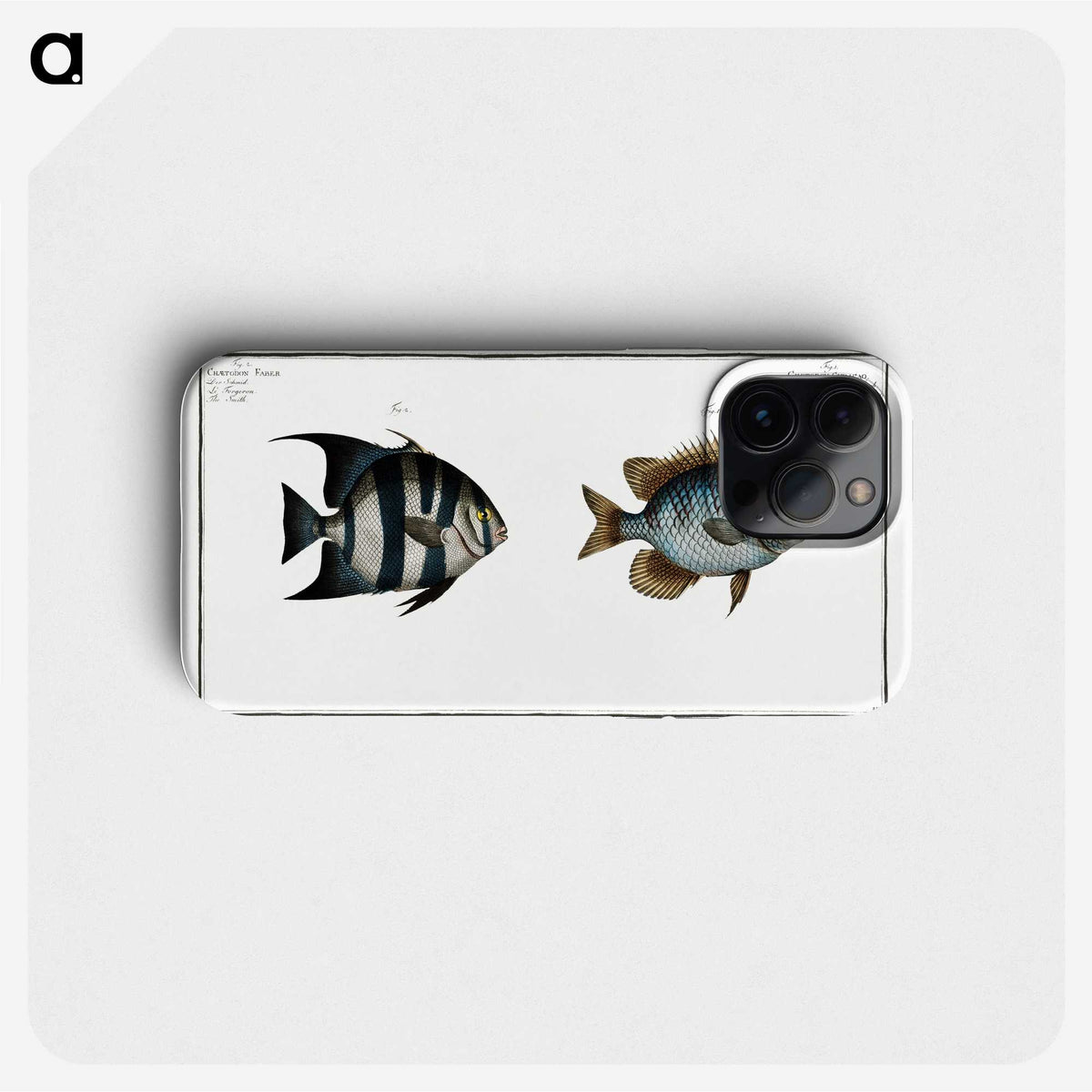 2-67_Ichtyologie-ou-Histoire-naturelle_phone