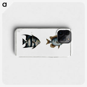 2-67_Ichtyologie-ou-Histoire-naturelle_phone