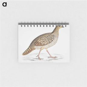 2-67_Indian-Zoology_memo