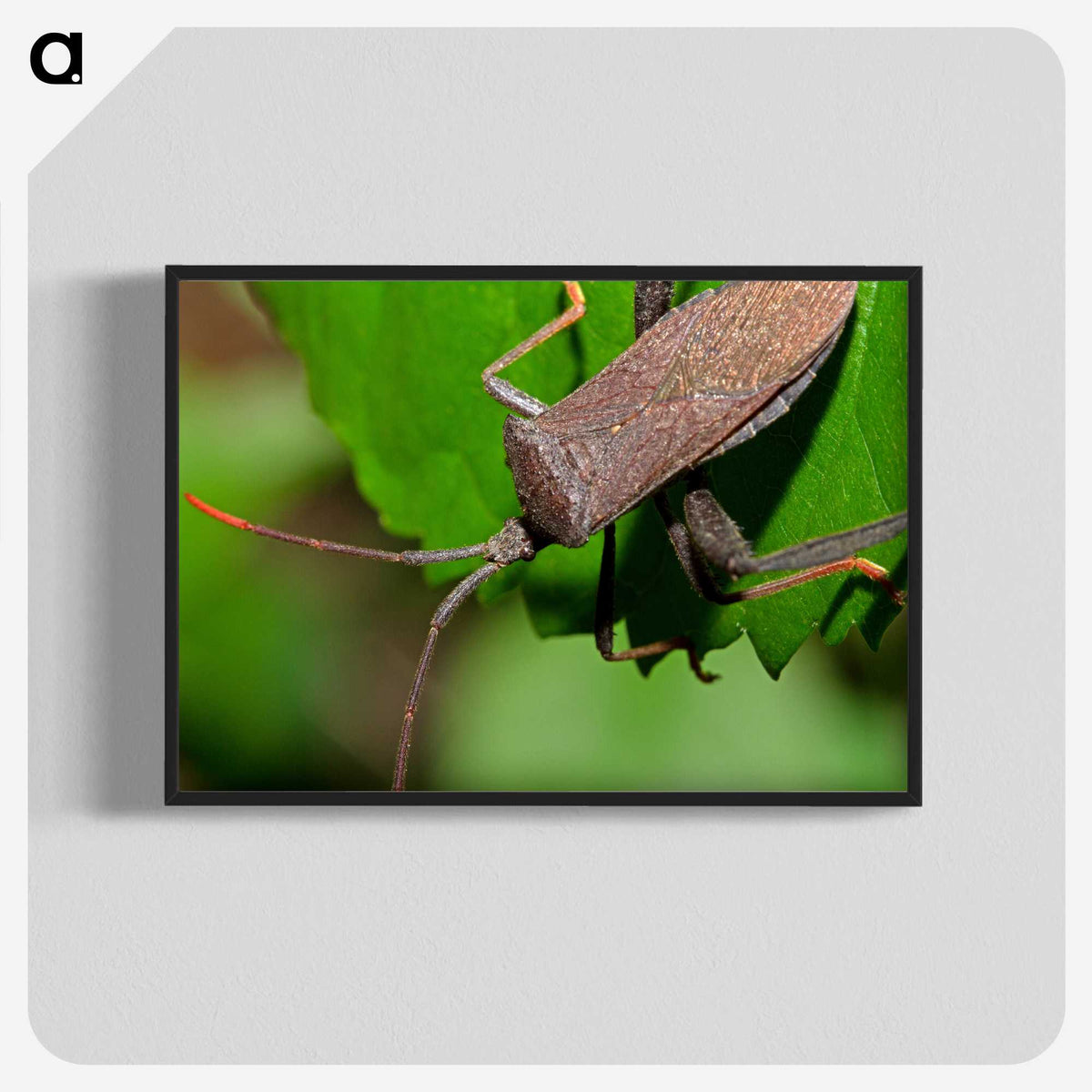 2-67_Insects-Unlocked-Project_blk-crop