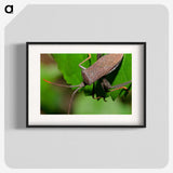 2-67_Insects-Unlocked-Project_blk
