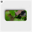 2-67_Insects-Unlocked-Project_phone