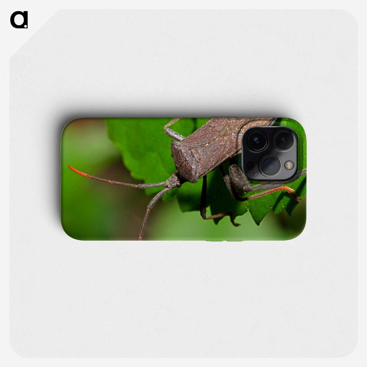 2-67_Insects-Unlocked-Project_phone