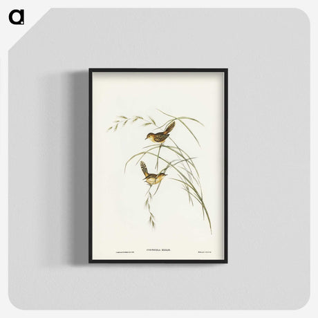 2-67_John-Gould_blk-crop