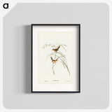 2-67_John-Gould_blk
