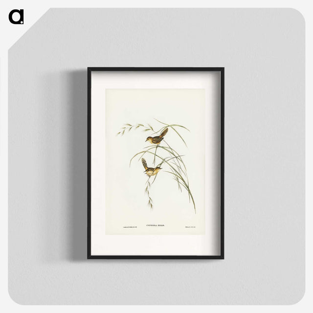 2-67_John-Gould_blk