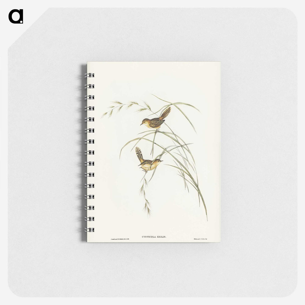 2-67_John-Gould_memo