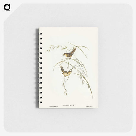 2-67_John-Gould_memo