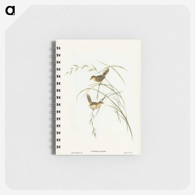 2-67_John-Gould_memo