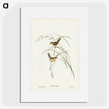 2-67_John-Gould_picture