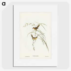 2-67_John-Gould_picture