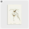 2-67_John-Gould_postcard