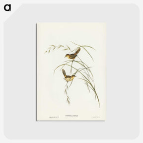 2-67_John-Gould_postcard