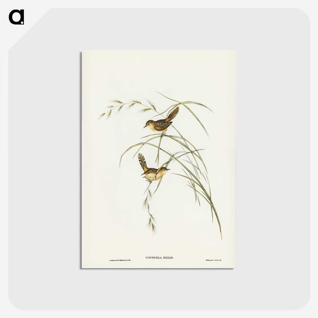 2-67_John-Gould_postcard