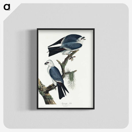 2-67_John-James-Audubon_blk-crop