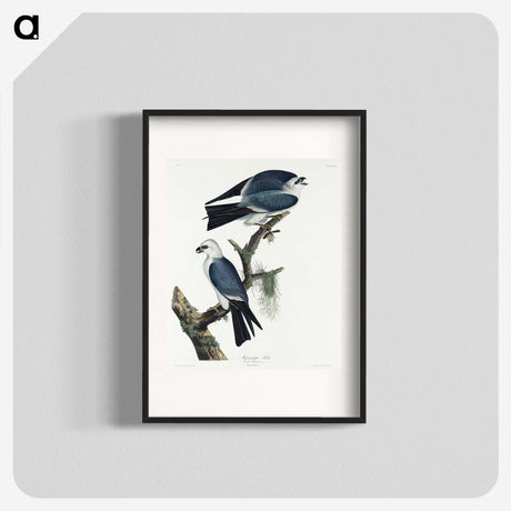 2-67_John-James-Audubon_blk