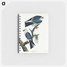 アートメモ帳-Mississippi Kite
 - ジョン ジェームス オーデュボン Memo.