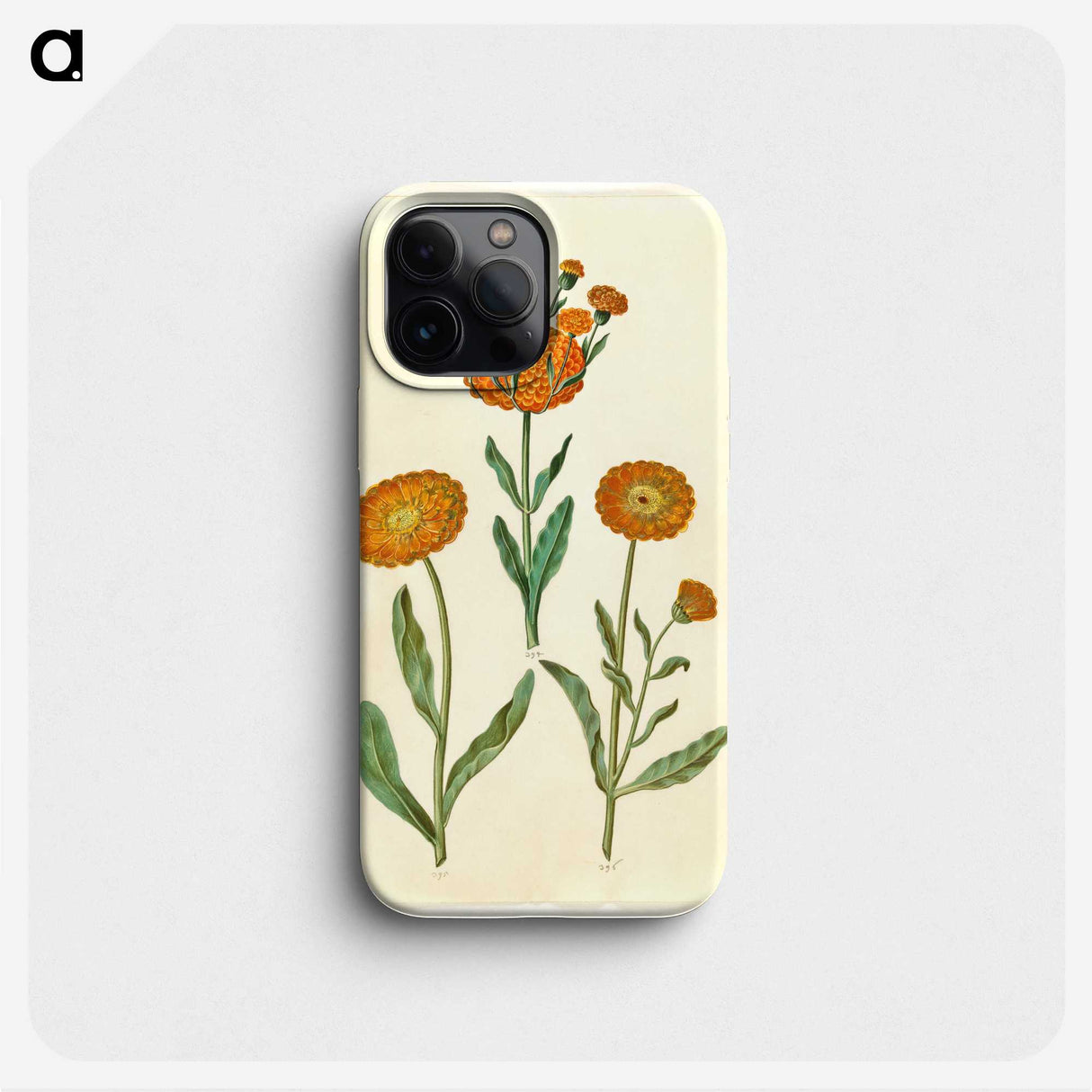 2-67_Maria-Sibylla-Merian_phone