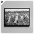 2-67_Marion-Post-Wolcott_canvas