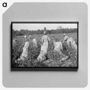 2-67_Marion-Post-Wolcott_canvas