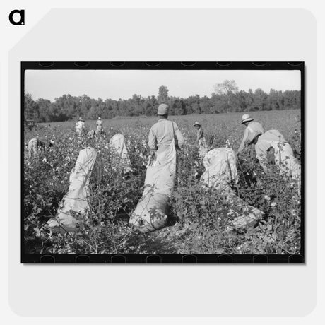 2-67_Marion-Post-Wolcott_picture-crop