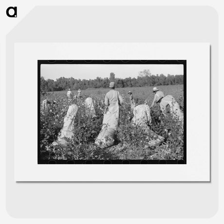 2-67_Marion-Post-Wolcott_picture