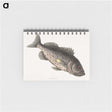2-67_Mark-Catesby_memo