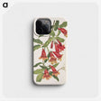 2-67_Mary-Vaux-Walcott_phone
