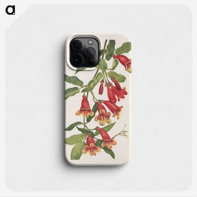 2-67_Mary-Vaux-Walcott_phone