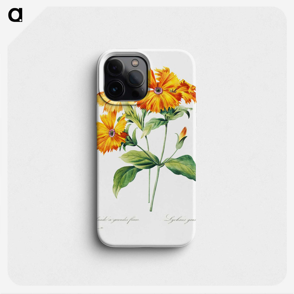 2-67_Pierre-Joseph-Redoute_phone