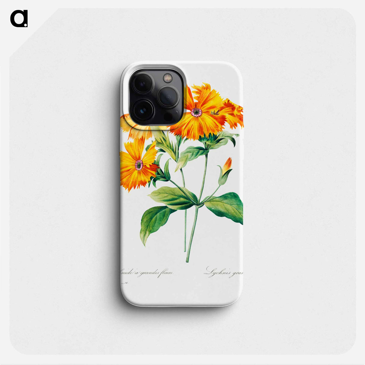 Lychnis grandiflora - ピエール ジョゼフ ルドゥーテ Phone Case.