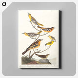 アートパネル-Birds of America
 - アメリカの鳥たち Canvas.