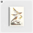 アートメモ帳-Birds of America
 - アメリカの鳥たち Memo.