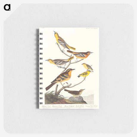 アートメモ帳-Birds of America
 - アメリカの鳥たち Memo.