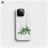 2-67_The-Lilies_phone