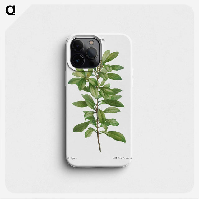 2-67_Treatise-on-Trees-and-Shrubs_phone