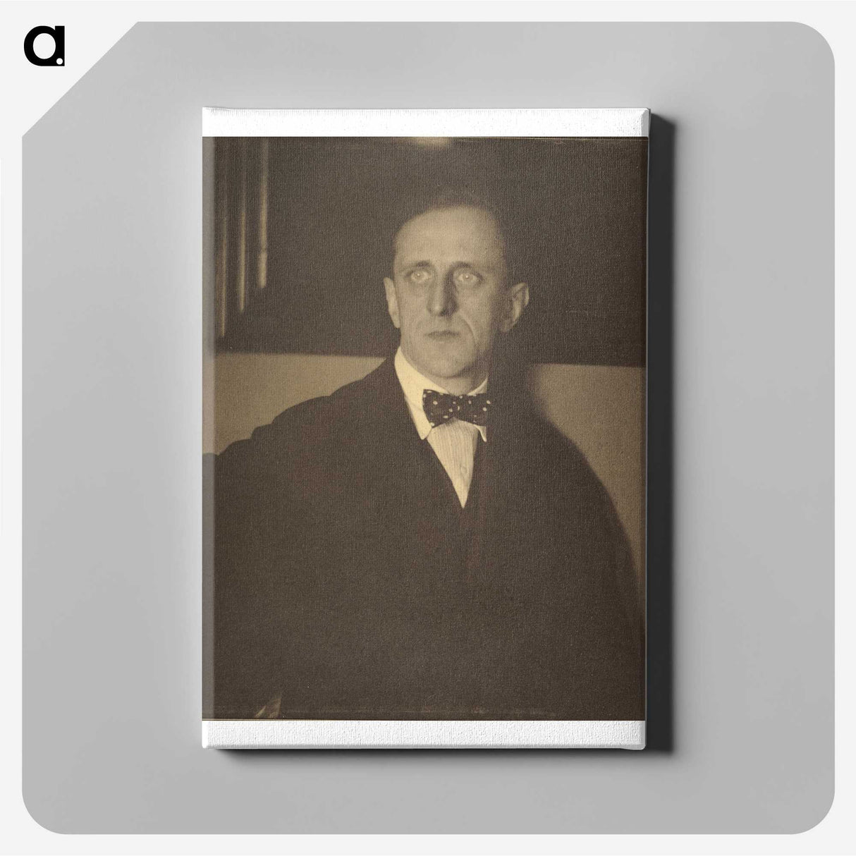 2-68_Alfred-Stieglitz_canvas