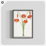 2-68_Anselmus-Boetius-de-Boodt_blk-crop