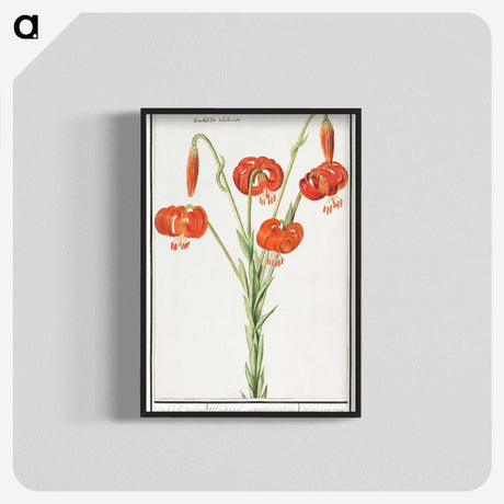 2-68_Anselmus-Boetius-de-Boodt_blk-crop