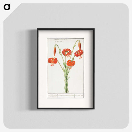 2-68_Anselmus-Boetius-de-Boodt_blk