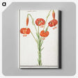 2-68_Anselmus-Boetius-de-Boodt_canvas