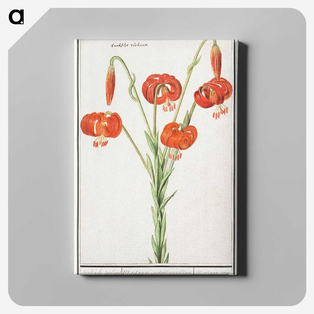 2-68_Anselmus-Boetius-de-Boodt_canvas