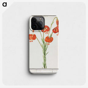 2-68_Anselmus-Boetius-de-Boodt_phone
